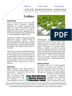 Hydrolettuce PDF