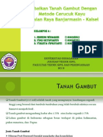 Perbaikan Tanah Gambut Dengan Metode Cerucuk Kayu Di Jalan Raya Banjarmasin - Kalsel