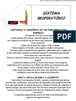 Sistema Respiratorio