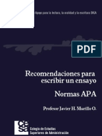 Normas-APA Web (1)