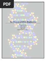 Process Description DNA Revised