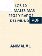 Animales Raros