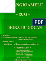 Hemangioamele - Curs Horatiu Gocan
