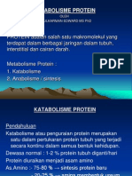 Metabolisme Protein 1