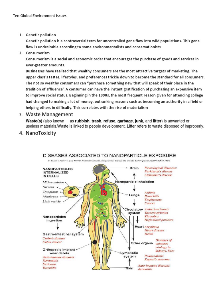 Global Environmental Issues Overview | PDF