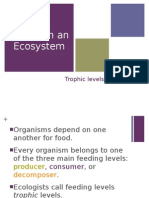 Energy in Ecosystems