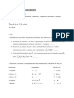 Test de Verificare-Calcul Numeric