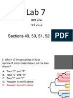 Lab 7