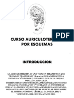 Curso Auriculopuntura