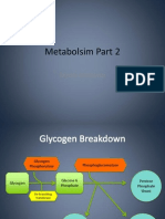 Metabolsim 2