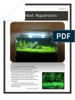 Planted Aquariums