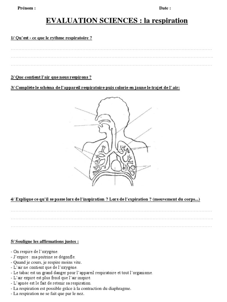 Exercices Sciences Cm1 à Imprimer Evaluation Science CM1 | PDF