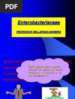 Enter o Bacteria Ce A