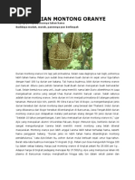 Download durian montong by Hegar Manah SN116385170 doc pdf