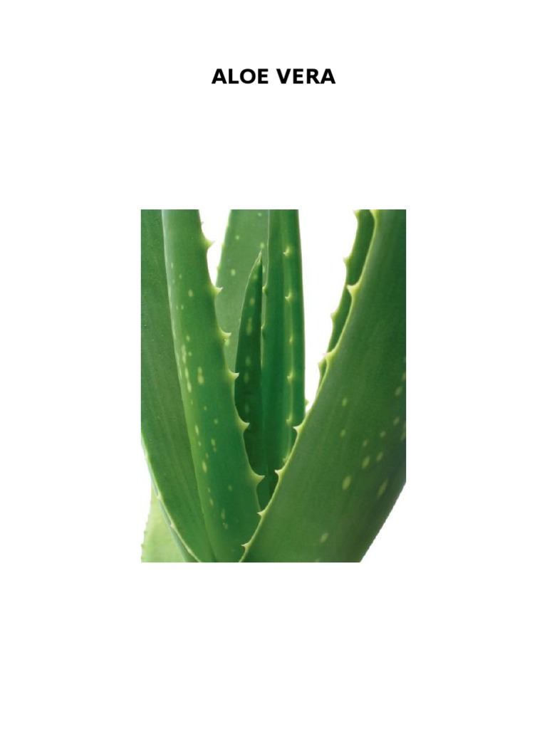 ALOE VERA Herida Psoriasis