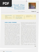 Download Chapter 73 Carpal Tunnel Ulnar Tunnel And Stenosing Tenosynovitis by Blazxy Eyre SN116423796 doc pdf