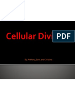 Cellular Division 1