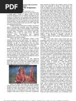 A Gata Mascotinha Do Pier de Ipanema