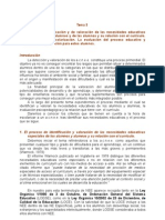 Tema 3a EL PROCESO DE IDENTIFICACIÓN Y DE VALORACIÓN DE LAS NECESIDADES EDUCATIVAS ESPECIALES