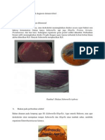 Beberapa Pemeriksaan Untuk Diagnosis Demam Tifoid