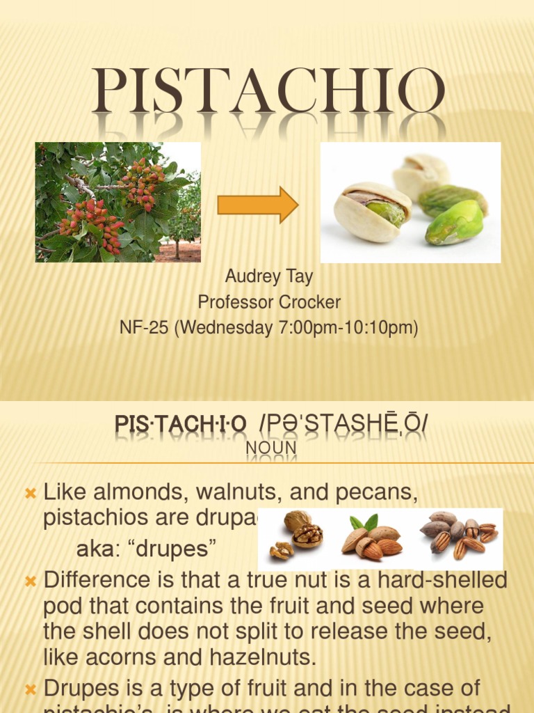 Pistachio Presentation PDF Nut (Fruit) Dietary Fiber
