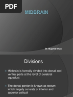 08 Midbrain