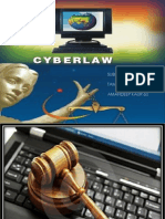 Cyber Law Final