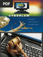 Cyber Law Final