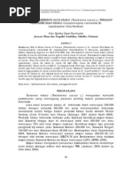 Download 7 VIEN SARTIKA Uji Ketahanan Klon Kakao 66 78 by Erse Dp Klan Kodu SN116555140 doc pdf