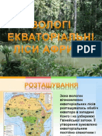 Вологі екваторіальні ліси Коваленко Поліна