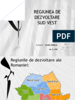 Regiunea de Dezvoltare Sud Vest