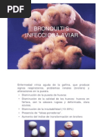 Bronquitis infecciosa aviar