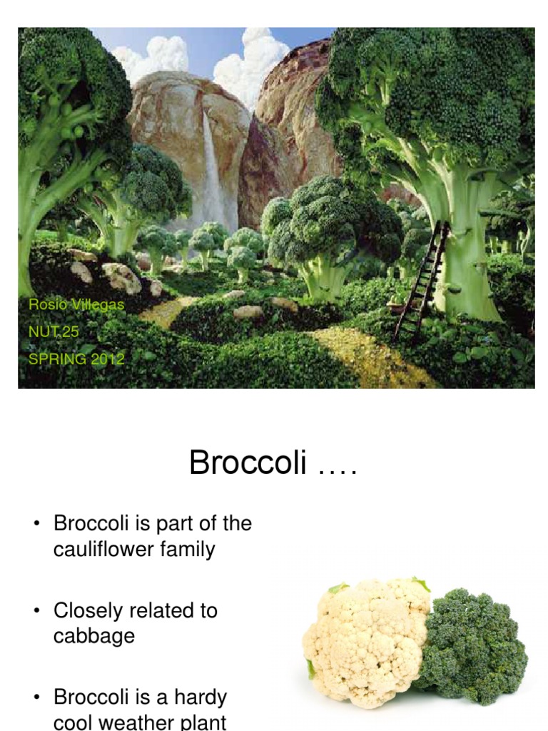 Broccoli Growth and Nutritional Benefits | PDF