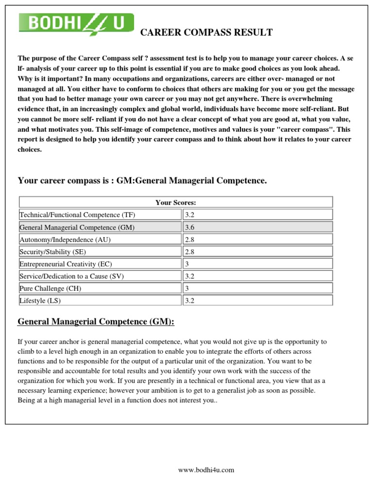 Career Compass Self-Assessment Guide | PDF | Career & Growth | Business