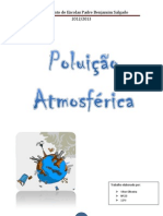 Poluição Atmosferica