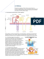 Chapter 24. The Kidney.: 1. The Structure and Function of The Nephron
