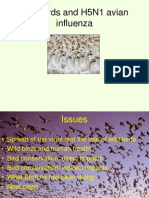 Wild Birds and H5N1 Avian Influenza: An Update