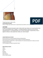 Anatomia: Localização Do Ponto