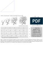 Genomics, Morphogenesis and Biophysics: Triangulation of Purkinje Cell Development