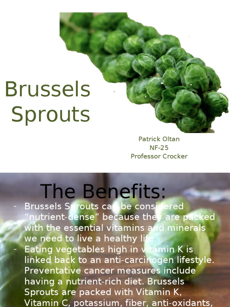 Brussels Sprouts: Patrick Oltan NF-25 Professor Crocker | PDF