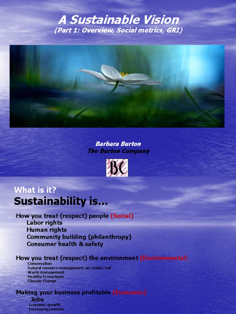 A Sustainable Vision | PDF | Sustainability | Natural Environment