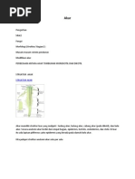 Download akar by Es De Pe SN116785731 doc pdf