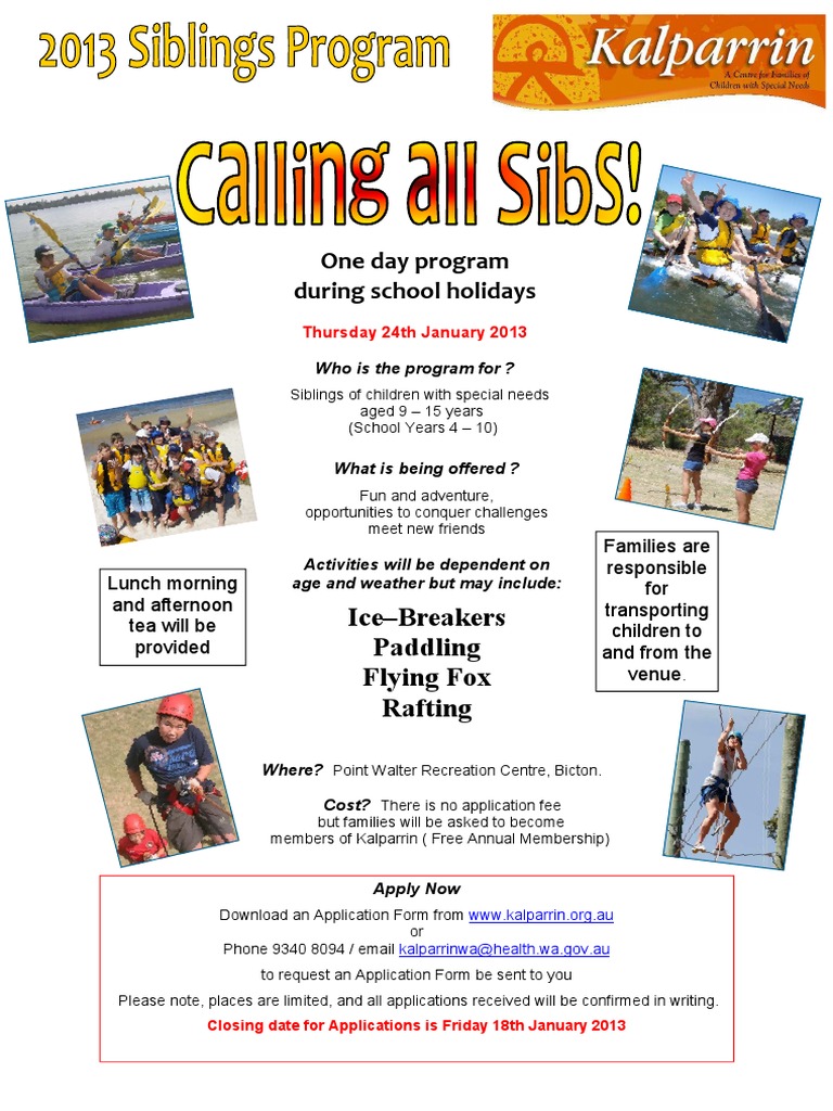 Holiday Program for Siblings of Special Needs | PDF