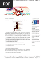 APRENDENDO A ENERGIZANTE RESPIRAÇÃO DA ÓRBITA MICROCÓSMICA