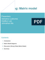Pre-Reading: Matrix Model: Salvatory Lyakurwa Hokbun Lee Johnathan Ma Presenters