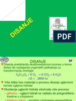 DISANJE