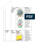 Bagan Sel Beserta Organel