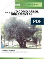 El olivo como árbol ornamental