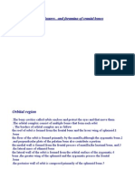 Canals, Fissures, and Foramina of Cranial Bones: Orbital Region