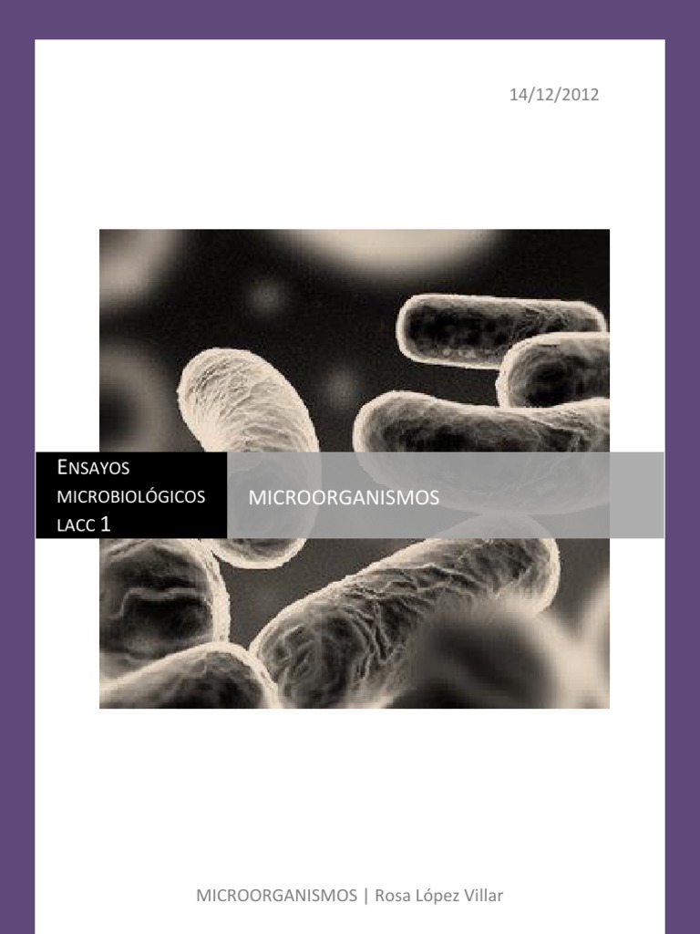 Clasificación de Microorganismos y Tipos | PDF | Archaea | Las bacterias